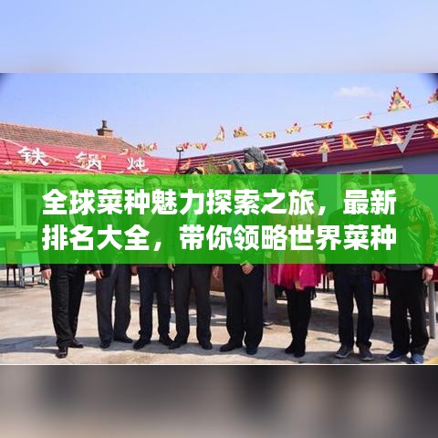全球菜种魅力探索之旅，最新排名大全，带你领略世界菜种风采