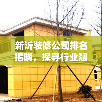 新沂装修公司排名揭晓，探寻行业翘楚，品质至上之选！