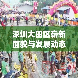 深圳大田区崭新面貌与发展动态揭秘，新闻头条聚焦大田区域发展