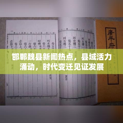 删华就素