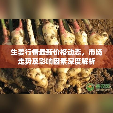 知错就改
