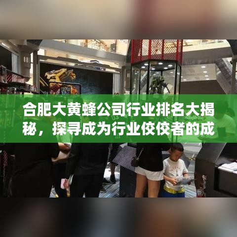合肥大黄蜂公司行业排名大揭秘，探寻成为行业佼佼者的成功之路！