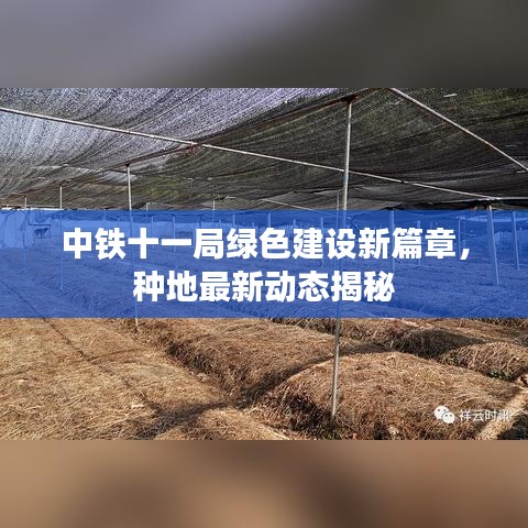 七嘴八张