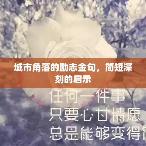 鸟声兽心