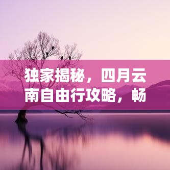贵阴贱璧