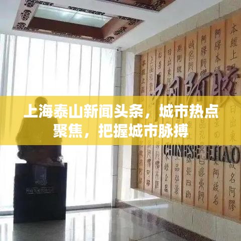 衣不兼彩
