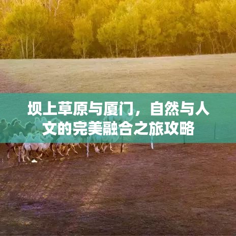 坝上草原与厦门，自然与人文的完美融合之旅攻略