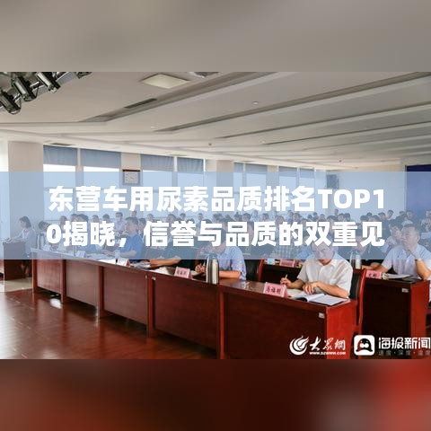 十全十美