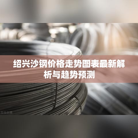 绍兴沙钢价格走势图表最新解析与趋势预测