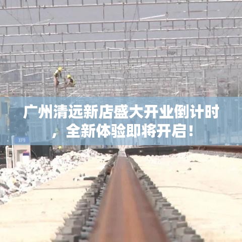 紫色蛙声