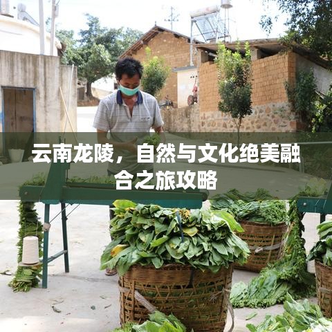 为民请命