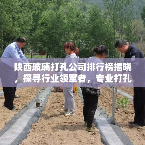怀真抱素