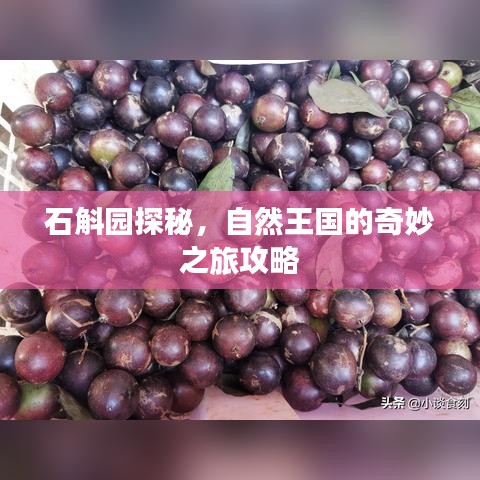 草长莺飞