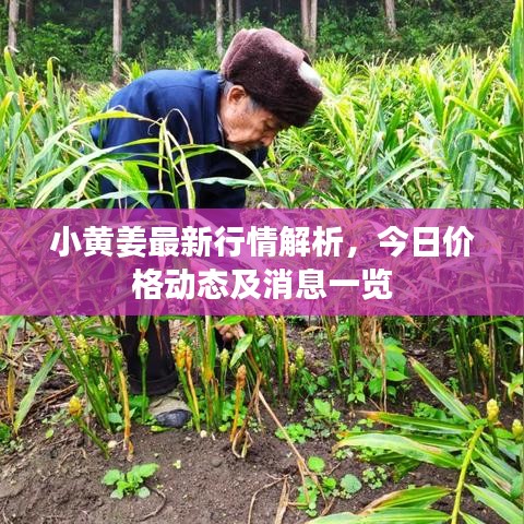 就楼磨刀