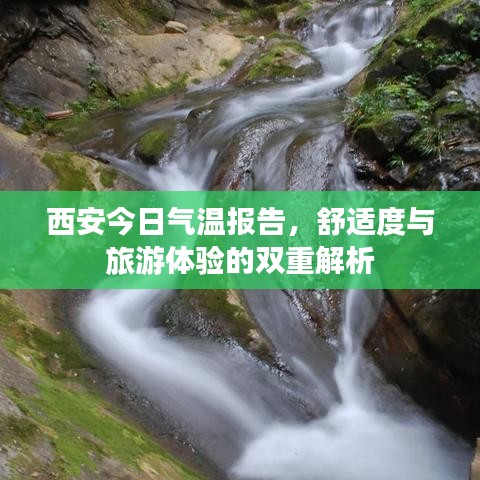 矫枉过正