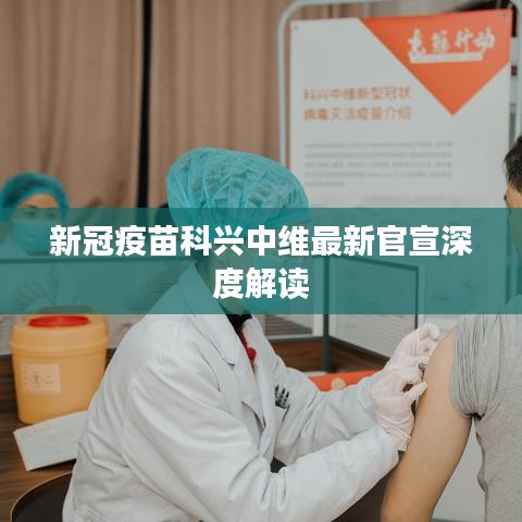 贵冠履轻头足