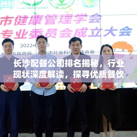 长沙配餐公司排名揭秘，行业现状深度解读，探寻优质餐饮服务的典范