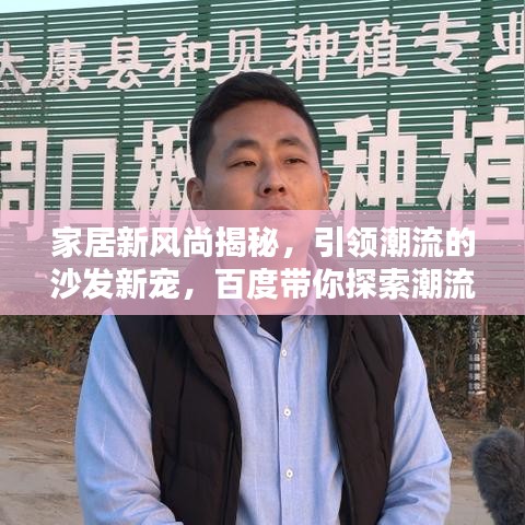家居新风尚揭秘，引领潮流的沙发新宠，百度带你探索潮流之选
