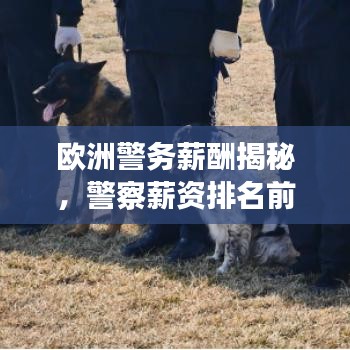欧洲警务薪酬揭秘，警察薪资排名前十名探秘