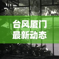 台风厦门最新动态，风雨守护与应对举措
