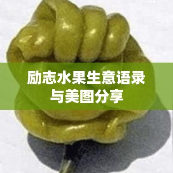 励志水果生意语录与美图分享