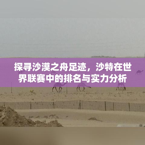 探寻沙漠之舟足迹，沙特在世界联赛中的排名与实力分析
