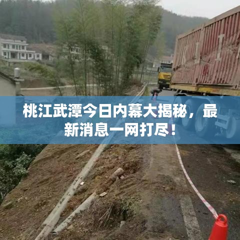 桃江武潭今日内幕大揭秘，最新消息一网打尽！