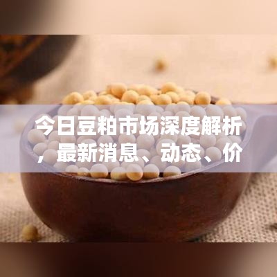今日豆粕市场深度解析，最新消息、动态、价格走势及影响因素全解析