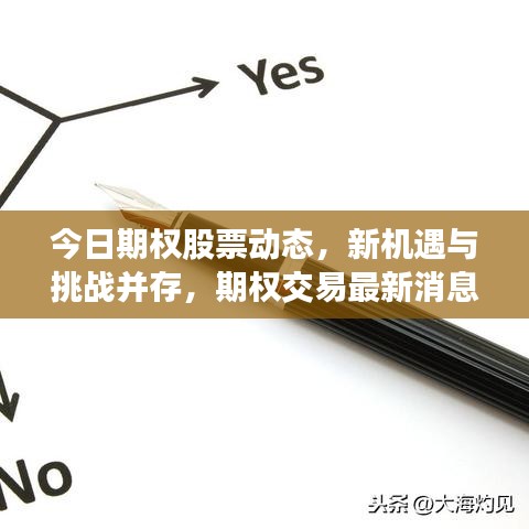今日期权股票动态，新机遇与挑战并存，期权交易最新消息速递