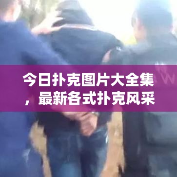 今日扑克图片大全集，最新各式扑克风采一网打尽！