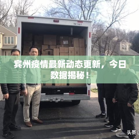 宾州疫情最新动态更新，今日数据揭秘！
