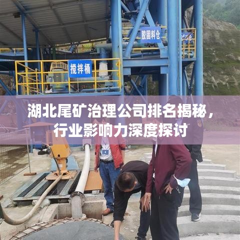 湖北尾矿治理公司排名揭秘，行业影响力深度探讨