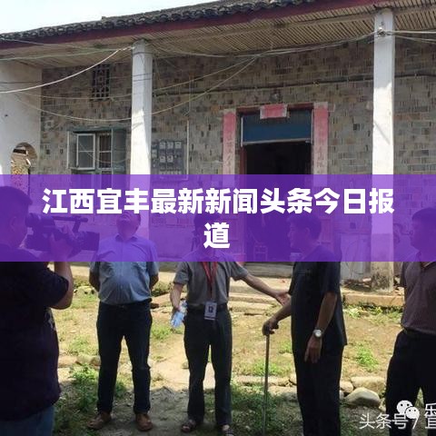 江西宜丰最新新闻头条今日报道