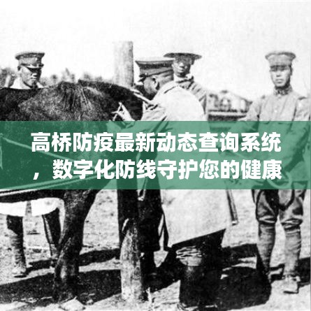 高桥防疫最新动态查询系统，数字化防线守护您的健康