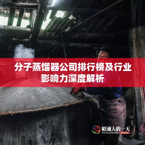 分子蒸馏器公司排行榜及行业影响力深度解析