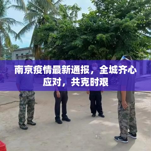 南京疫情最新通报，全城齐心应对，共克时艰