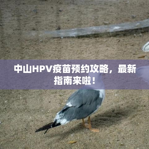 中山HPV疫苗预约攻略，最新指南来啦！