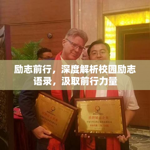 励志前行，深度解析校园励志语录，汲取前行力量