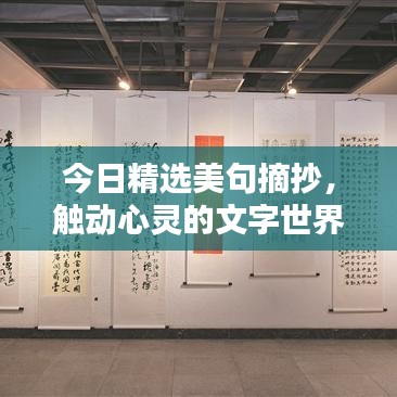 今日精选美句摘抄，触动心灵的文字世界