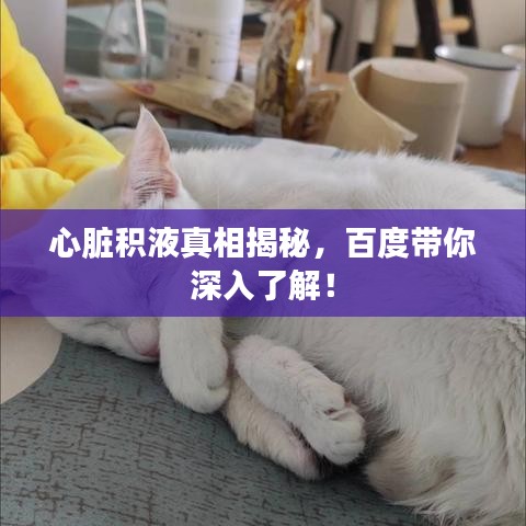 心脏积液真相揭秘，百度带你深入了解！