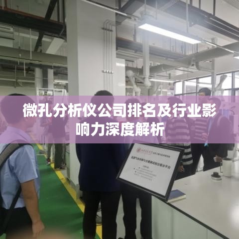 微孔分析仪公司排名及行业影响力深度解析