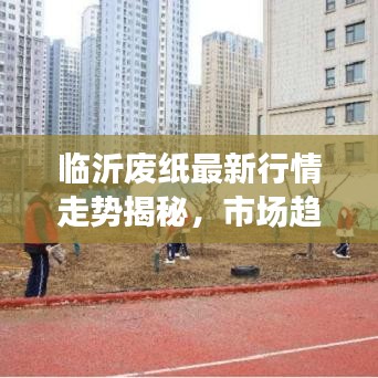 临沂废纸最新行情走势揭秘，市场趋势与影响因素深度剖析