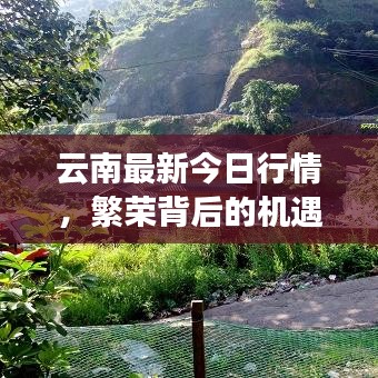 云南最新今日行情，繁荣背后的机遇与挑战揭秘