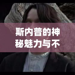 斯内普的神秘魅力与不为人知的背后故事揭秘
