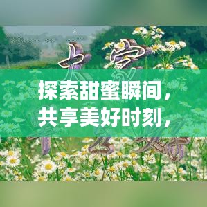 探索甜蜜瞬间，共享美好时刻，在百度云中品味甜蜜分享的乐趣