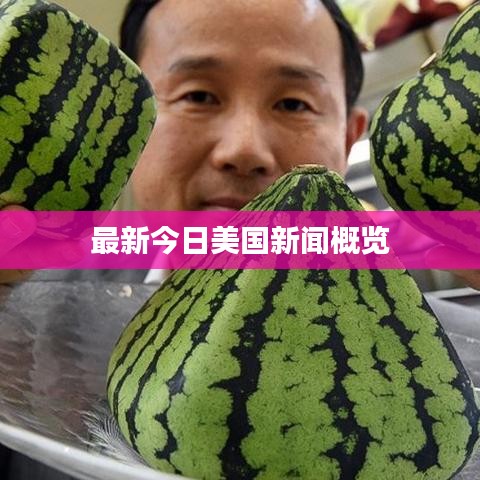 最新今日美国新闻概览