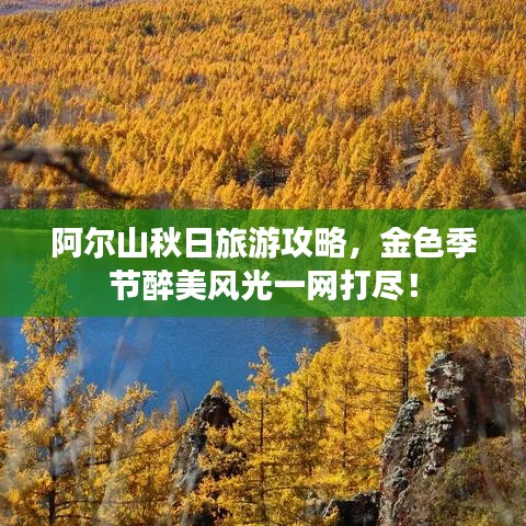 2025年5月12日 第23页