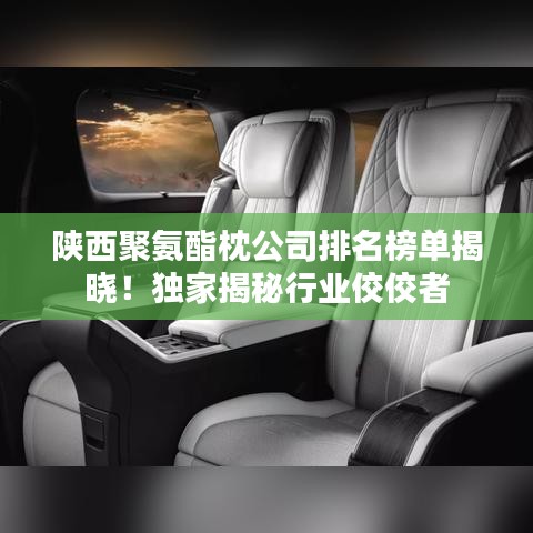陕西聚氨酯枕公司排名榜单揭晓！独家揭秘行业佼佼者