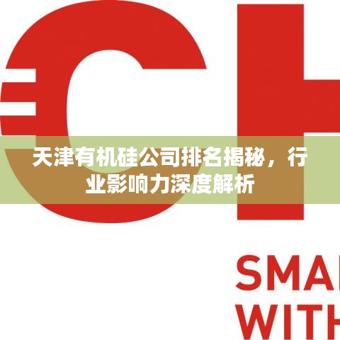 天津有机硅公司排名揭秘，行业影响力深度解析