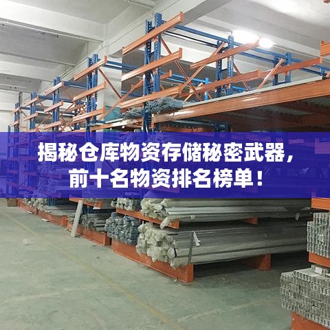 揭秘仓库物资存储秘密武器，前十名物资排名榜单！